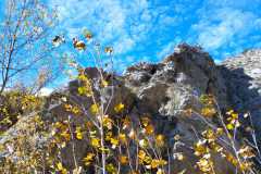 IMG-20231104-WA0020