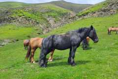 IMG-20240602-WA0006