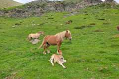 IMG-20240602-WA0008
