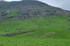 IMG-20240602-WA0010