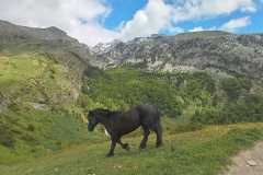 IMG-20240602-WA0019