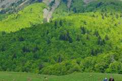 IMG-20240603-WA0003