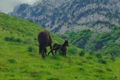 IMG-20240603-WA0004
