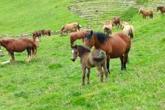 IMG-20240603-WA0006