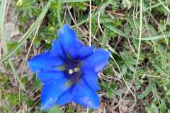IMG-20240603-WA0008