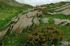 IMG-20240603-WA0009