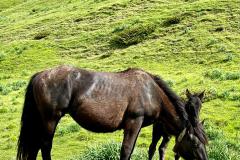 IMG-20240603-WA0022