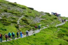 IMG-20240603-WA0031