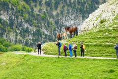 IMG-20240603-WA0034