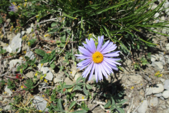 Imagen-de-WhatsApp-2025-06-30-a-las-10.03.46_57f92b09