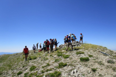 Imagen-de-WhatsApp-2025-06-30-a-las-10.03.47_8992325d