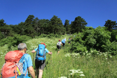 Imagen-de-WhatsApp-2025-06-30-a-las-10.03.50_82c46bff