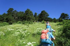 Imagen-de-WhatsApp-2025-06-30-a-las-10.03.50_8e051f95