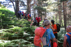 Imagen-de-WhatsApp-2025-06-30-a-las-10.03.50_a329c32a