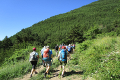 Imagen-de-WhatsApp-2025-06-30-a-las-10.03.51_a758c1d5