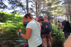 Imagen-de-WhatsApp-2025-06-30-a-las-10.03.51_bb0eb12c