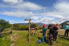 IMG-20240428-WA0017