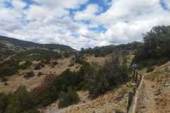 IMG-20240428-WA0026