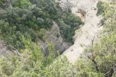 IMG-20240428-WA0027