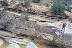 IMG-20240428-WA0044
