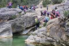 IMG-20240428-WA0052