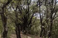 IMG-20240428-WA0057