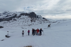 IMG-20250217-WA0000