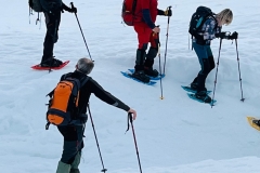 IMG-20250217-WA0006