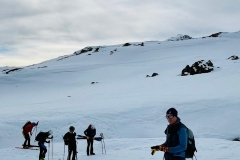 IMG-20250217-WA0007