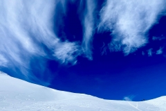 IMG-20250217-WA0010