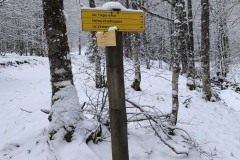 IMG-20250302-WA0002