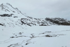 IMG-20250302-WA0012