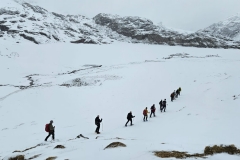 IMG-20250302-WA0015