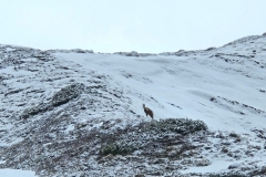 IMG-20250302-WA0021