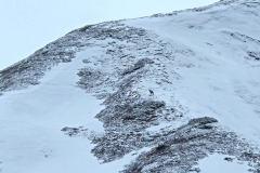 IMG-20250302-WA0022