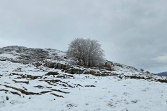 IMG-20250302-WA0024