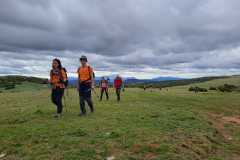 IMG-20240505-WA0017