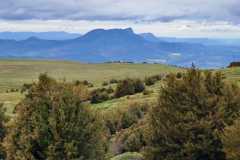 IMG-20240505-WA0018