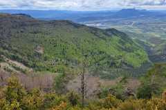 IMG-20240505-WA0026