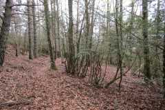 IMG-20240506-WA0024