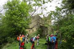 IMG-20240506-WA0026