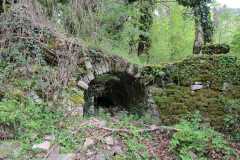 IMG-20240506-WA0028