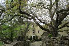 IMG-20240506-WA0034