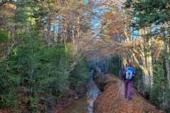 IMG-20231119-WA0032