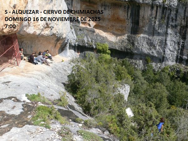 S – ALQUEZAR – CIERVO DE CHIMIACHAS