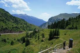 S – CAMINO DE SANTIAGO – OLORON – SOMPORT 2026