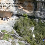 S – ALQUEZAR – CIERVO DE CHIMIACHAS