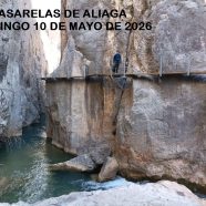 S – PASARELAS DE ALIAGA